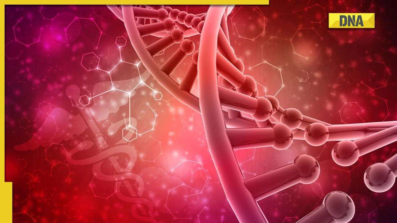 Hormones Here's how your hormones work