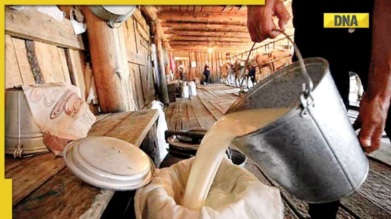 2 lakh more dairies before 2024 elections, says HM Amit Shah at World Dairy Summit 2022