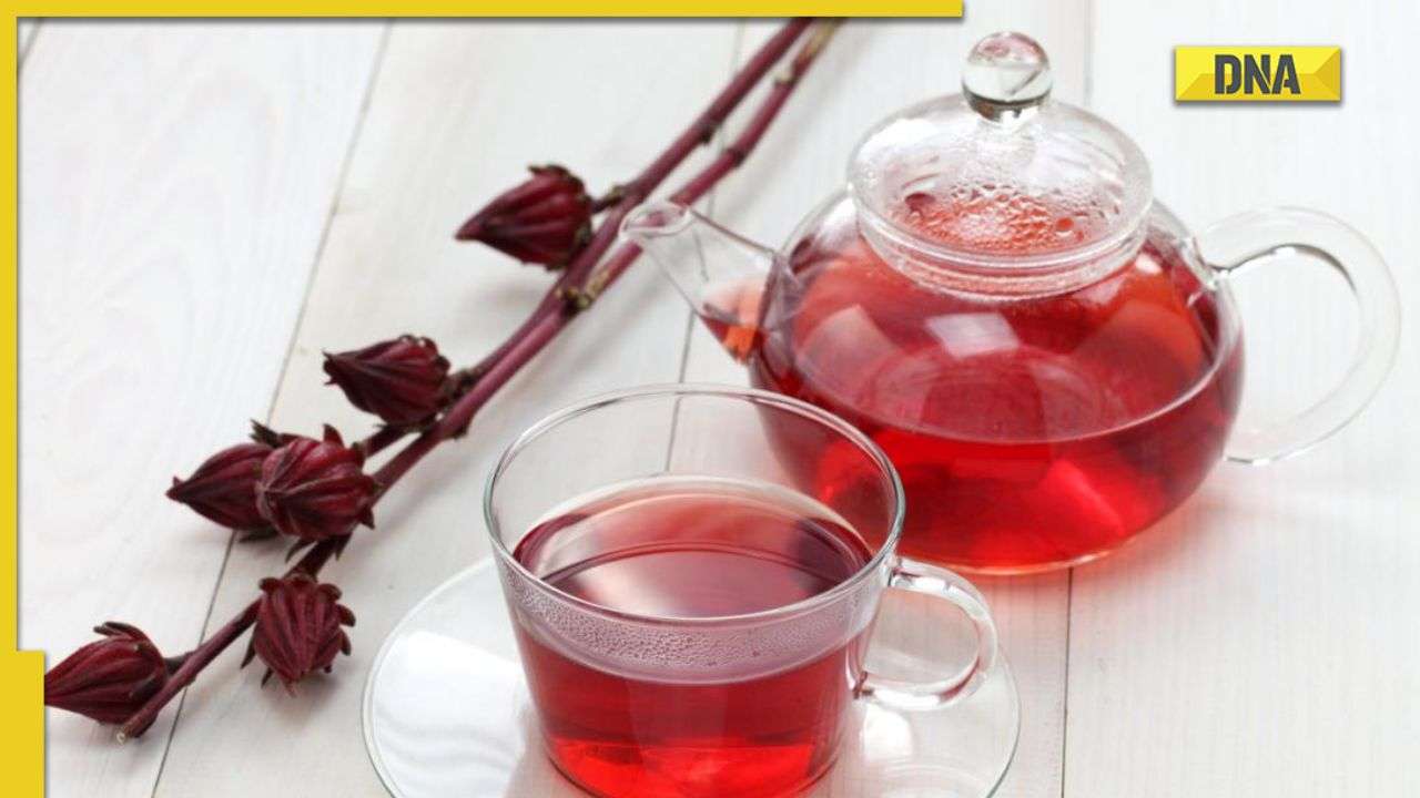 Hibiscus tea All you need to know about the side effects of Hibiscus tea