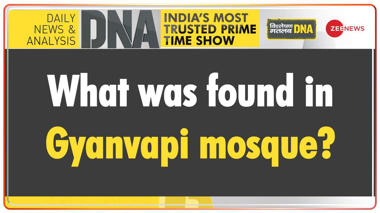 DNA | What was found in Gyanvapi mosque?