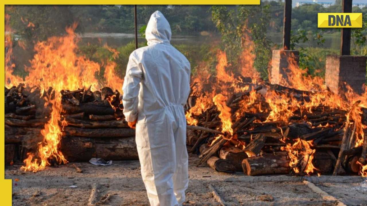 'Many lives could have been saved if...': Parliamentary panel pulls up Centre on handling of COVID second wave