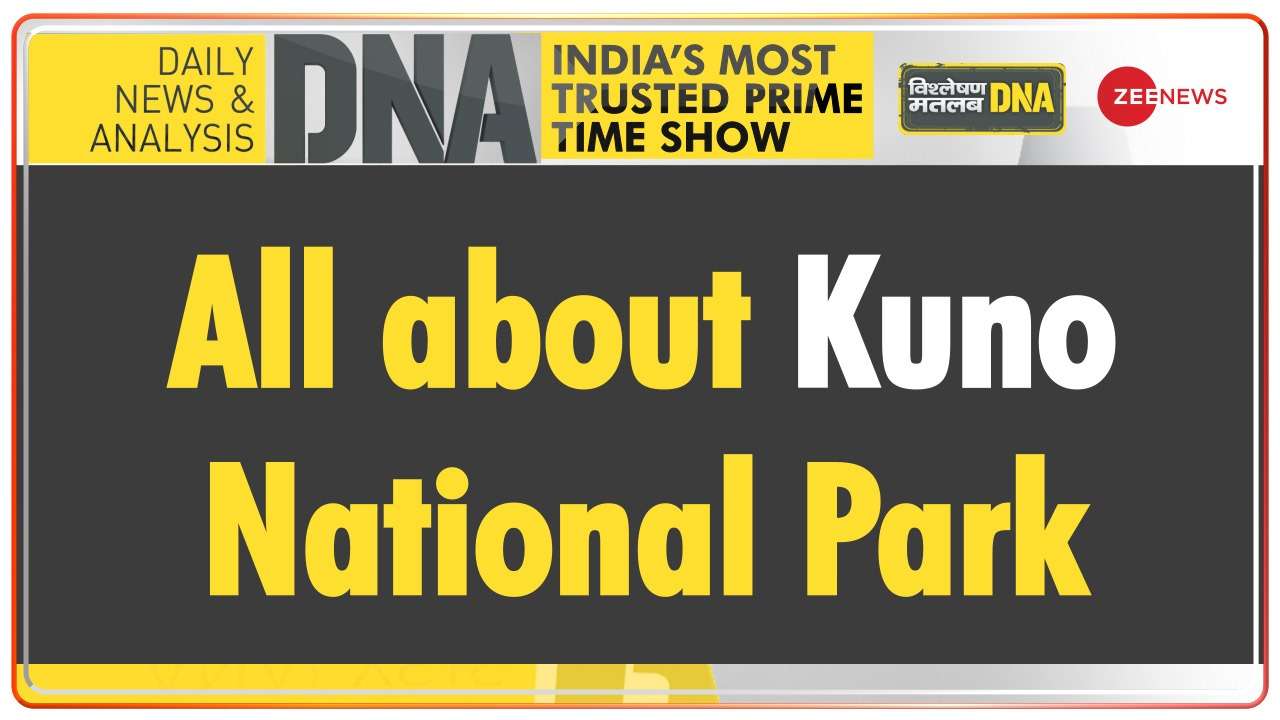 DNA | All you need to know about Kuno National Park