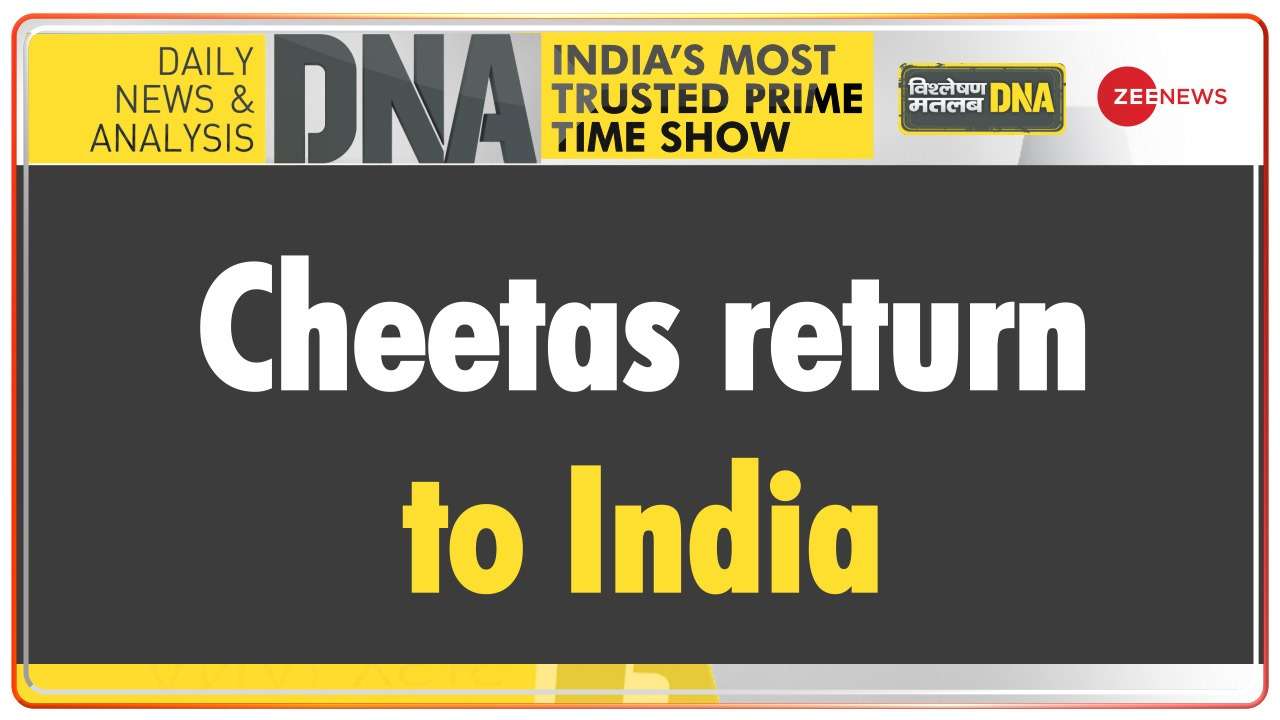 DNA | Cheetahs return to India