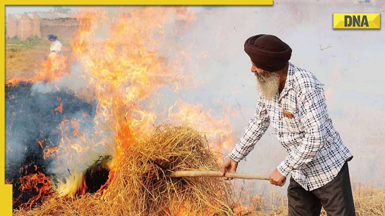 Air pollution: Delhi, Punjab join hands to curb stubble burning in harvest season