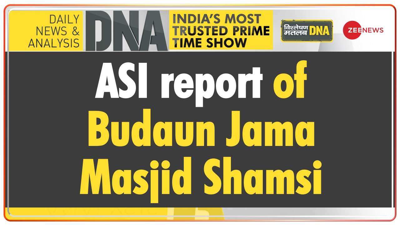 DNA: What was written in ASI report about Budaun Jama Masjid Shamsi?