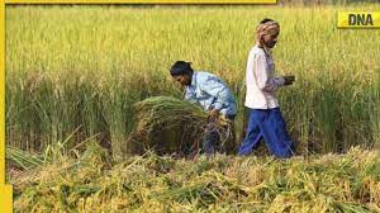 PM-KISAN scheme