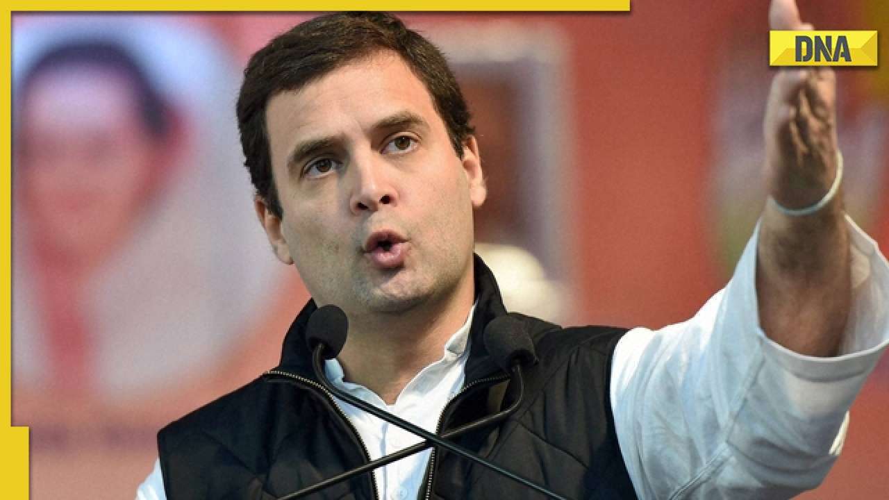 '8 Cheetahs have come, now tell this...': Rahul Gandhi takes a dig over unemployment
