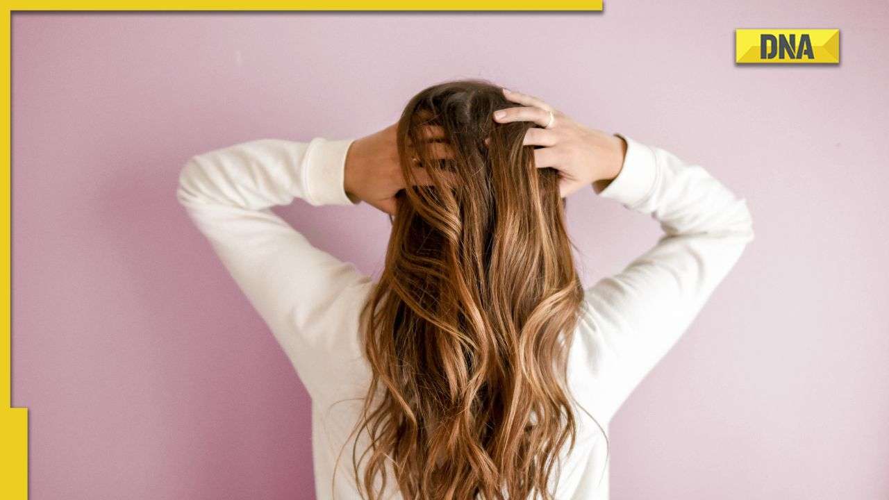 Hair care: 3 tips for healthy looking hair without expensive salon  treatments