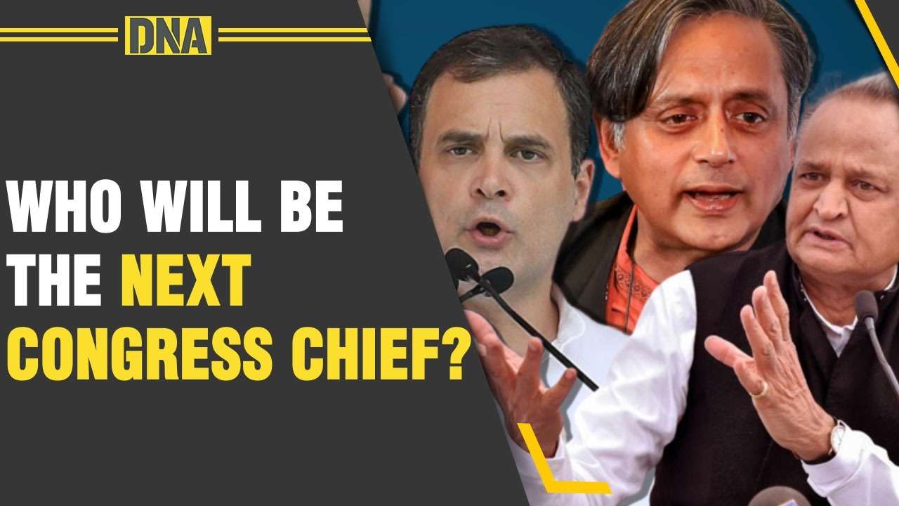Congress President Election: Rahul Gandhi emerges as top choice for next chief