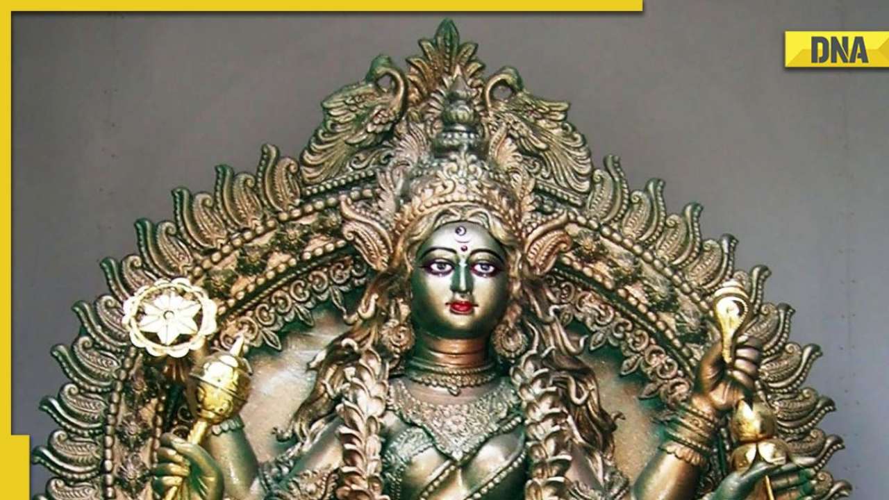 Navratri 2022: Know about 9 forms of Goddess Durga worshipped ...