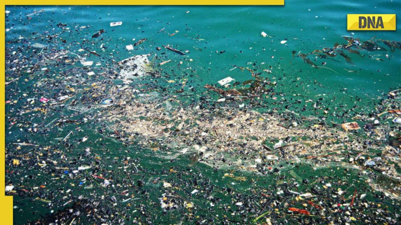 DNA Special: What is Great Pacific Garbage Patch and how it poses