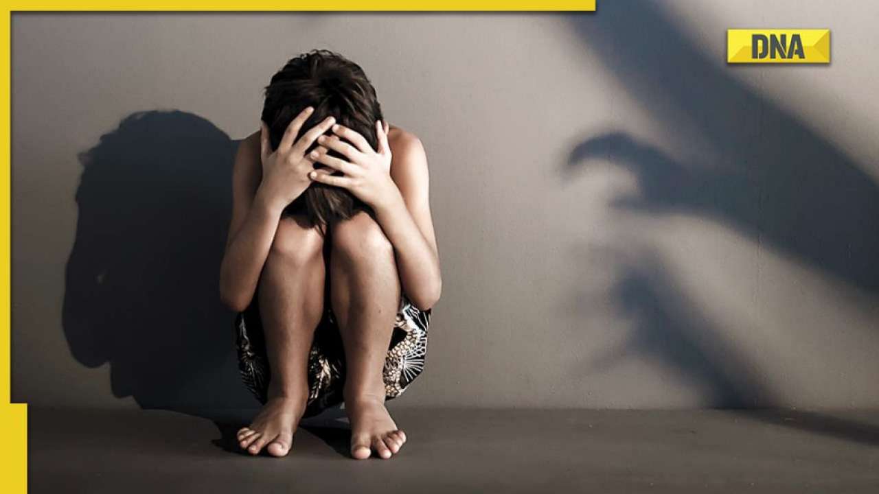 Porn child mega CBI crackdown on child porn: What is Operation 'Megha Chakra'?