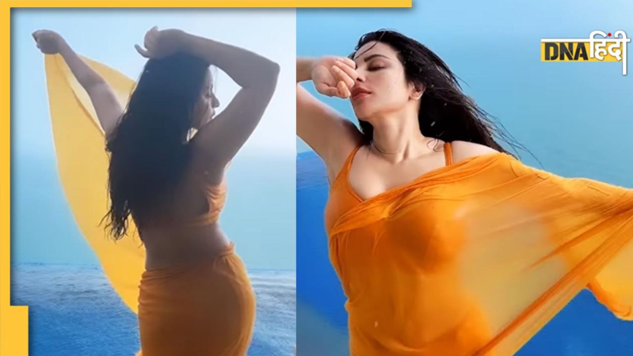 Shama Sikander ने 'पानी में लगाई आग', Bollywood के इस गाने पर कर दिया Hot और बोल्ड डांस 