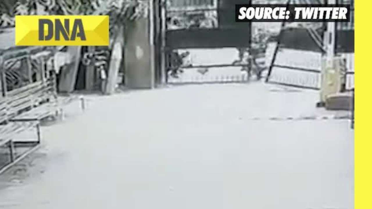 Viral Video: CCTV footage shows theives running away after stealing courier boy's bike in Delhi