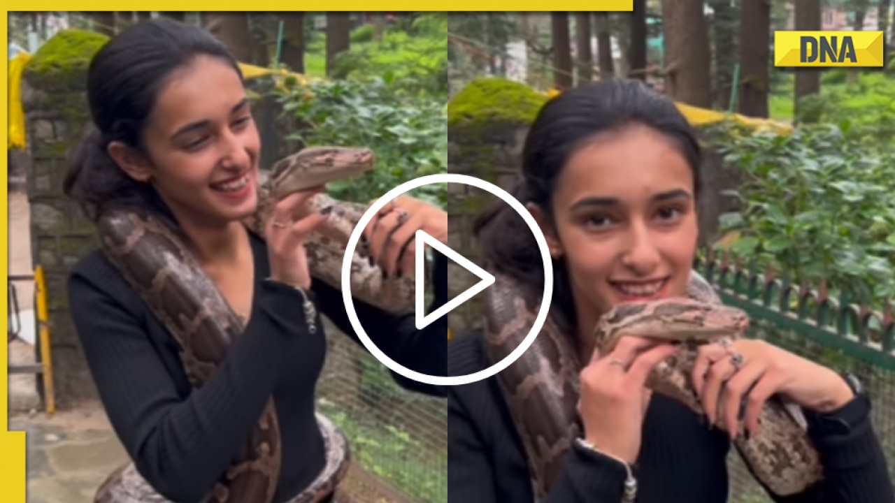 Girl kisses massive python in THIS hair-raising viral video; Internet ...