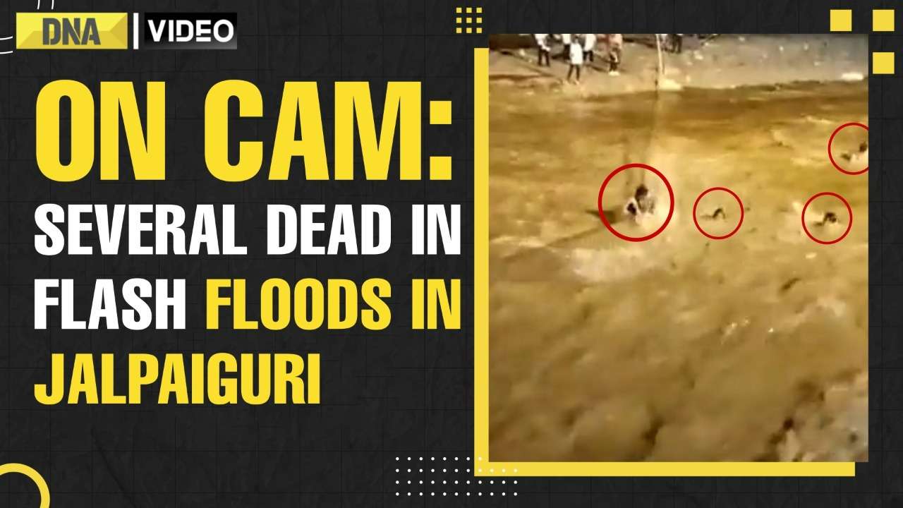 Watch: Flash floods in Jalpaiguri, several dead: Moments of disaster caught on cam