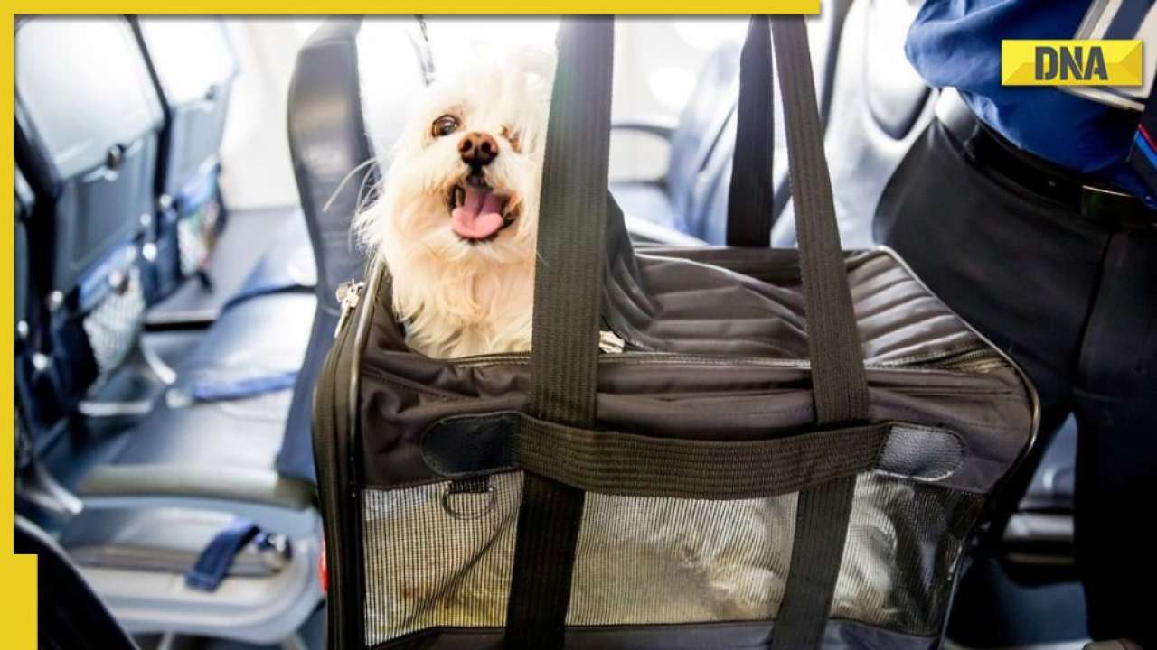 akasa air pet travel policy