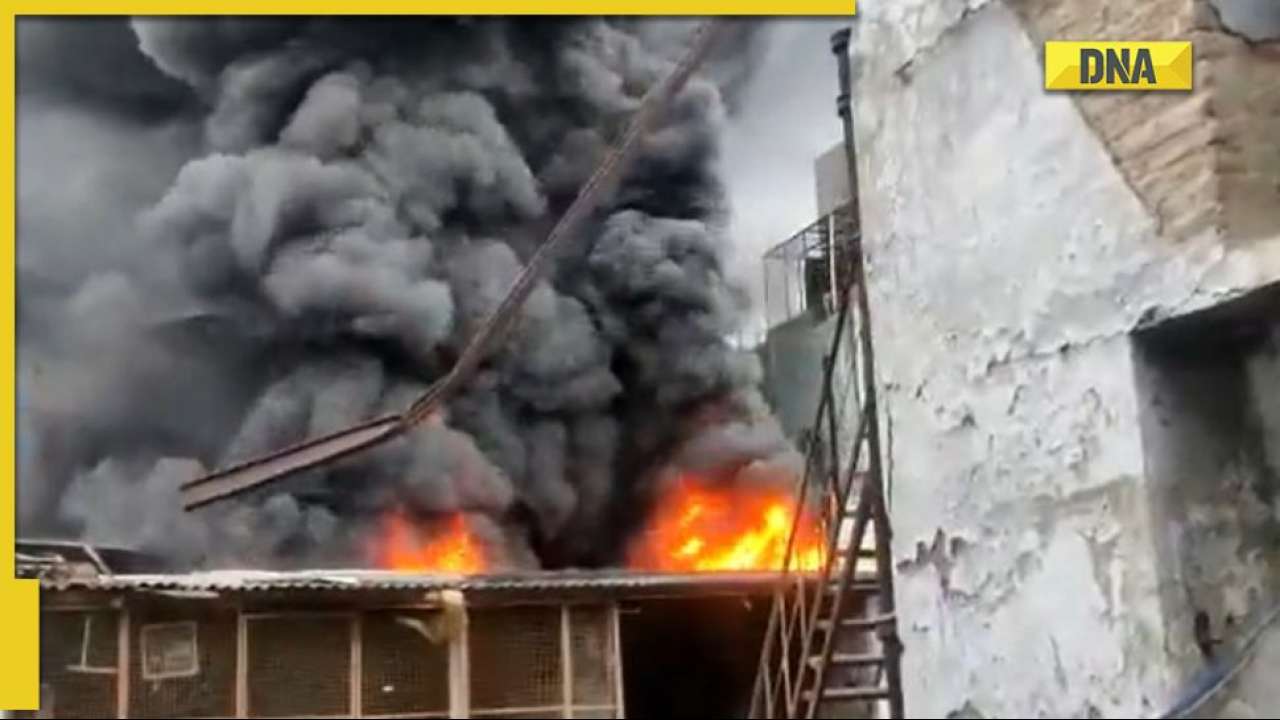 Fire breaks out at Noida plastic factory, 14 fire tenders on the scene