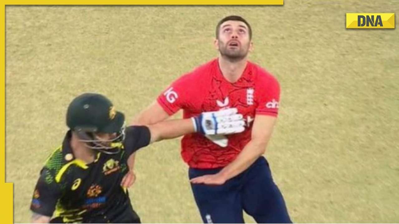 Watch: Matthew Wade interrupts Mark Wood from taking the catch, Netizens call it 'cheating'