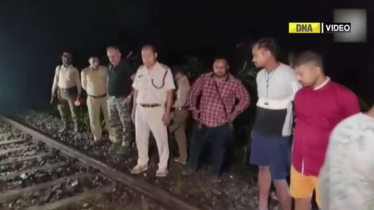 Two elephants, a calf killed after being hit by Rajdhani Express in Jorhat, Assam