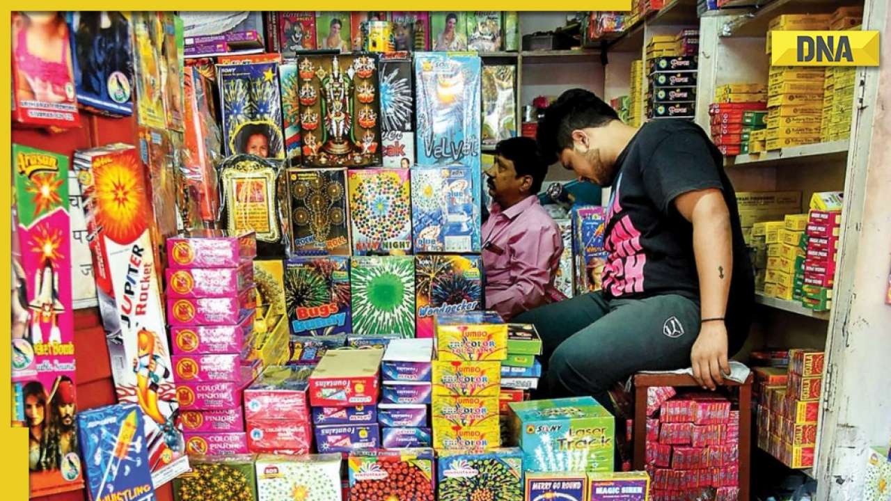 Haryana bans sale and use of firecrackers ahead of Diwali, only ...