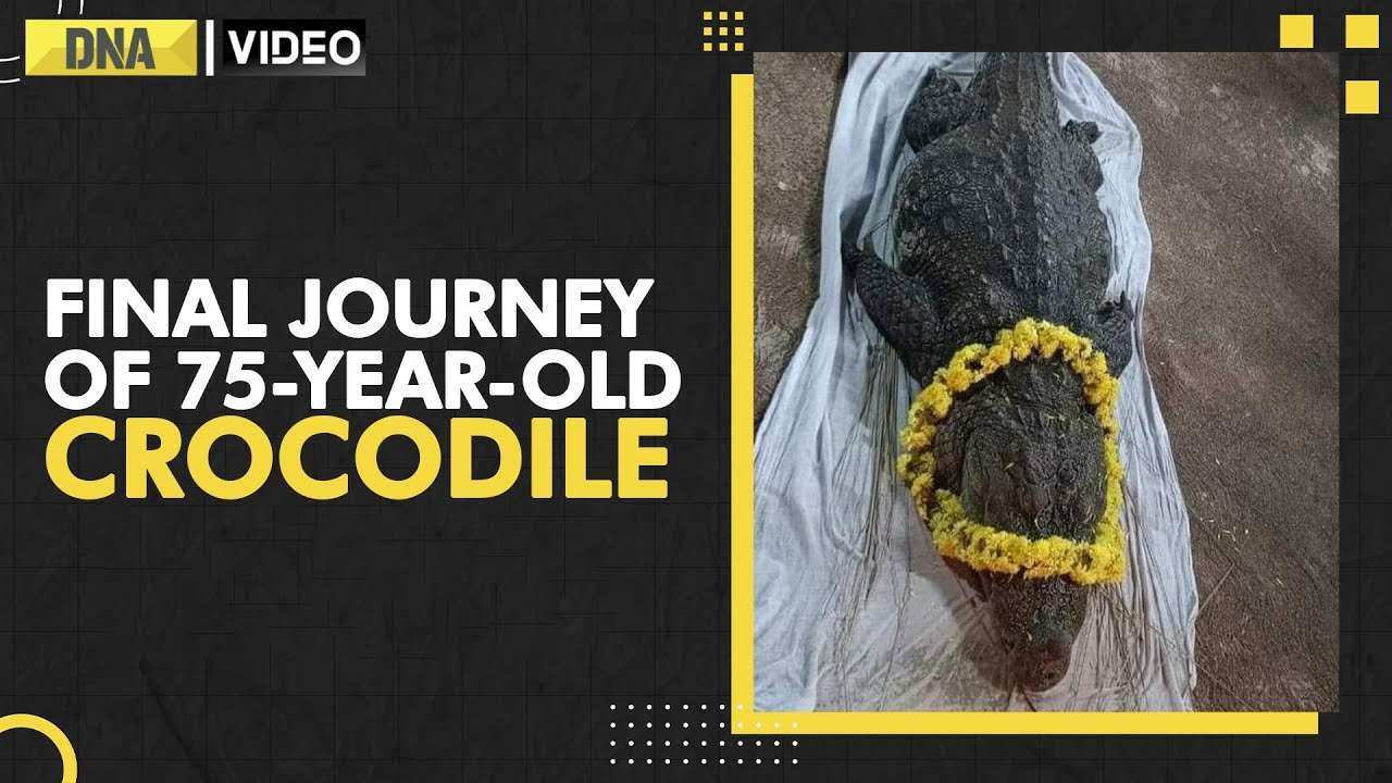 Why hundreds attended funeral of 75-year-old crocodile in Kerala? 