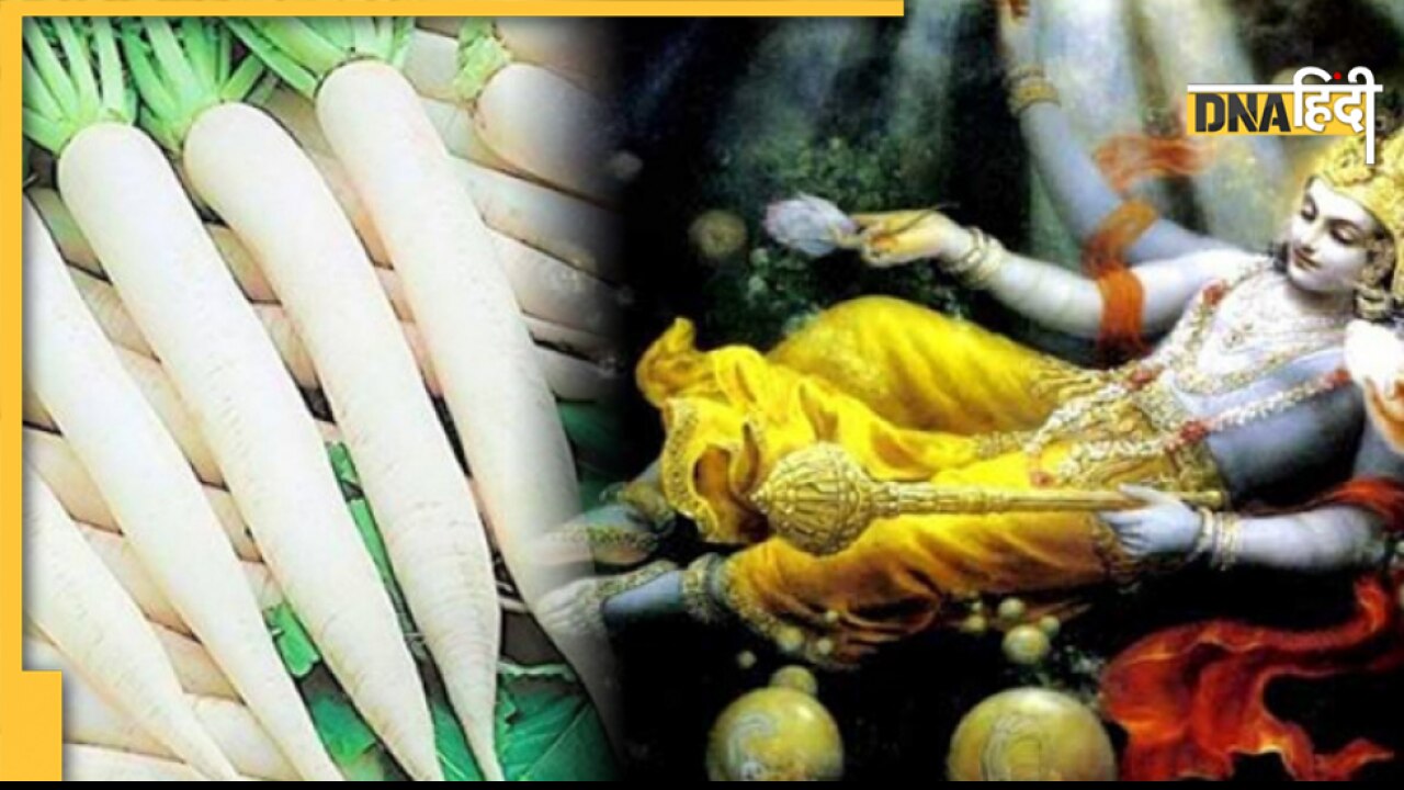 Kartik Maas Food List: श्रीकृष्ण, विष्णु को करना है प्रसन्न तो इस माह में क्या खाएं और क्या न खाएं, देखें ये चार्ट