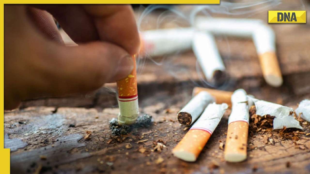 DNA Special: The purposeful use of cigarette butts by a Noida businessman