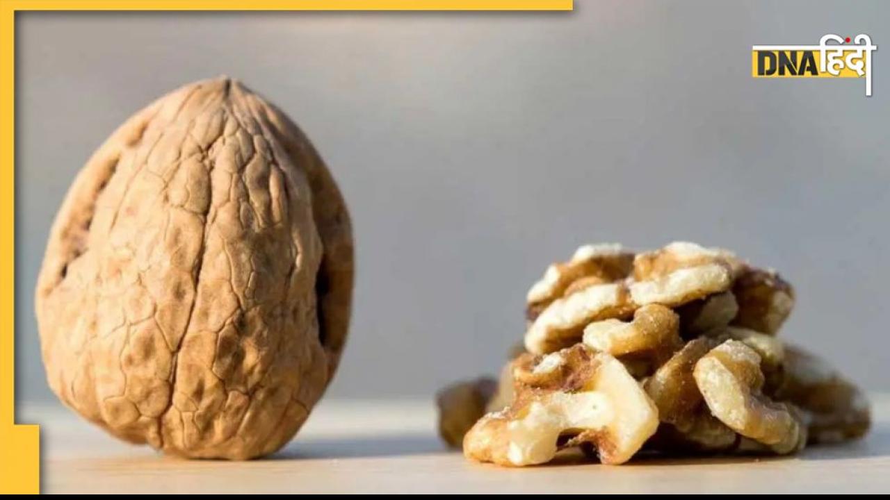 walnut health benefits Latest News and Updates in Hindi walnut health