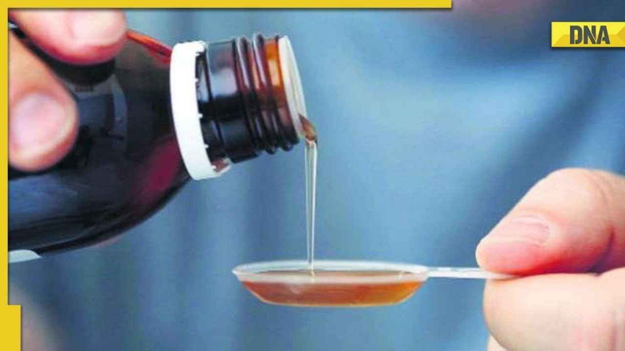 Gambia cough syrup deaths S Jaishankar assures probe to Gambian counterpart