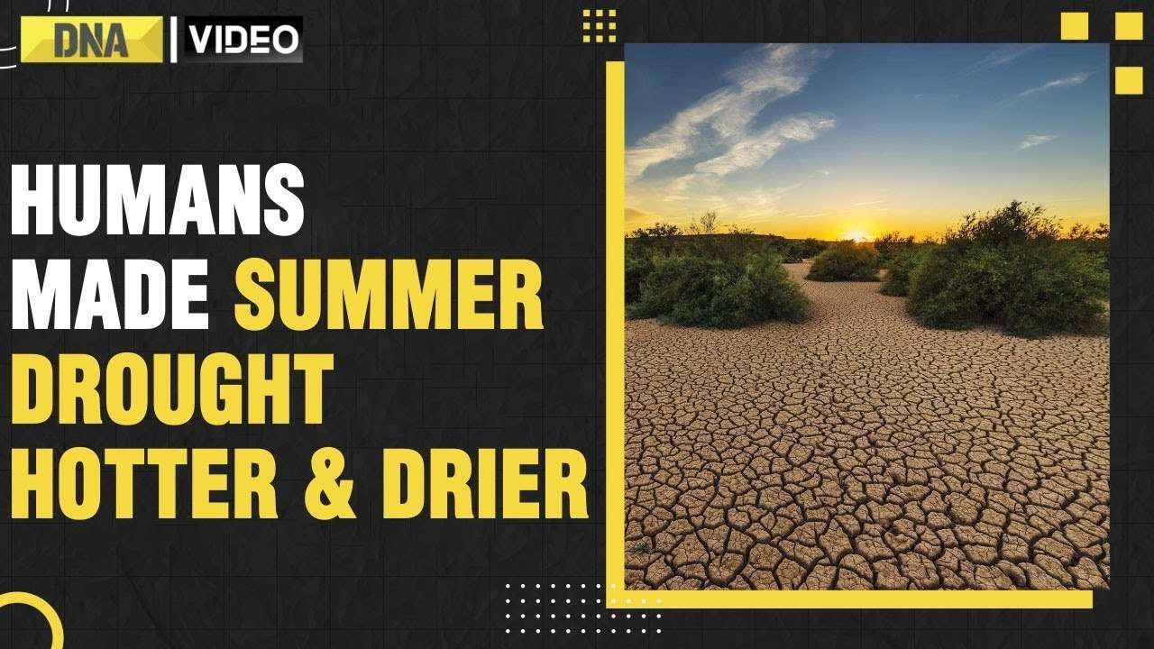 Human-induced climate change made summer drought ‘at least 20 times’ more likely
