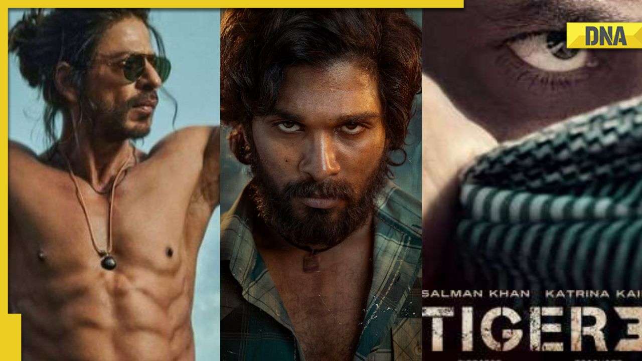 Allu Arjun Xnxx Videos - Pushpa 2: Allu Arjun's film beats Salman Khan's Tiger 3, SRK's Pathaan,  Jawan for being 'most awaited film of 2023'