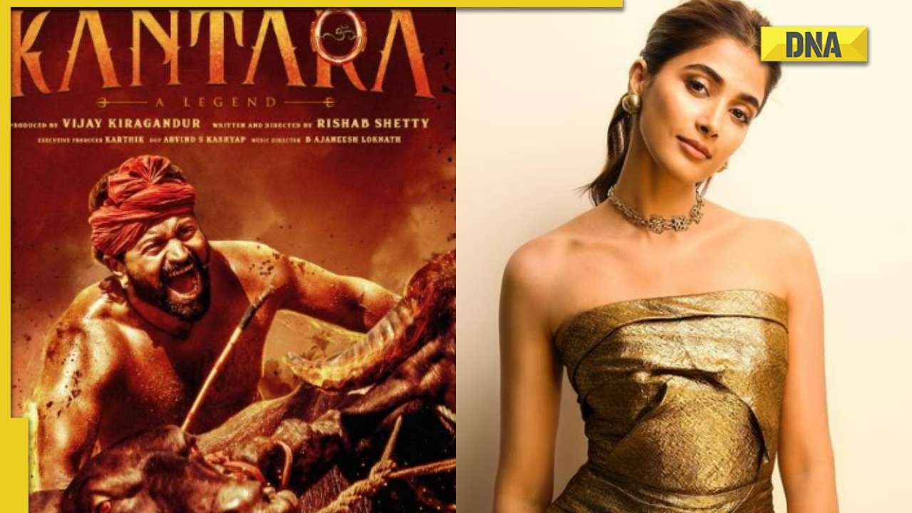 Pooja Sexy Rape Video - Kantara: Pooja Hegde reviews Rishab Shetty's film, says she 'was stunned  and completely awestruck'