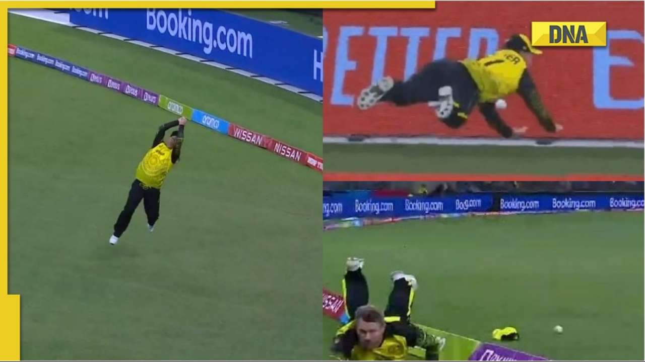 AUS vs SL: David Warner dubbed 'Superman' by fans after his exceptional fielding during must-win tie