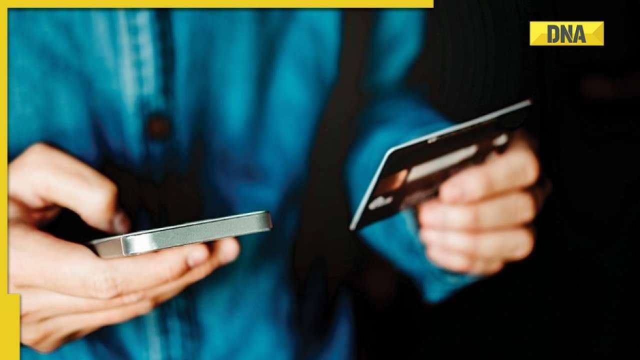Mumbai: Woman orders sweets online on Diwali, loses Rs 2.5 lakh from credit card; tips to prevent internet fraud