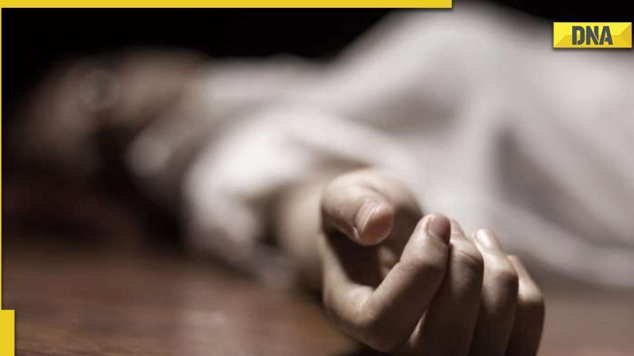 Ghaziabad: Man beaten to death with brick after dispute over car parking, incident caught on camera