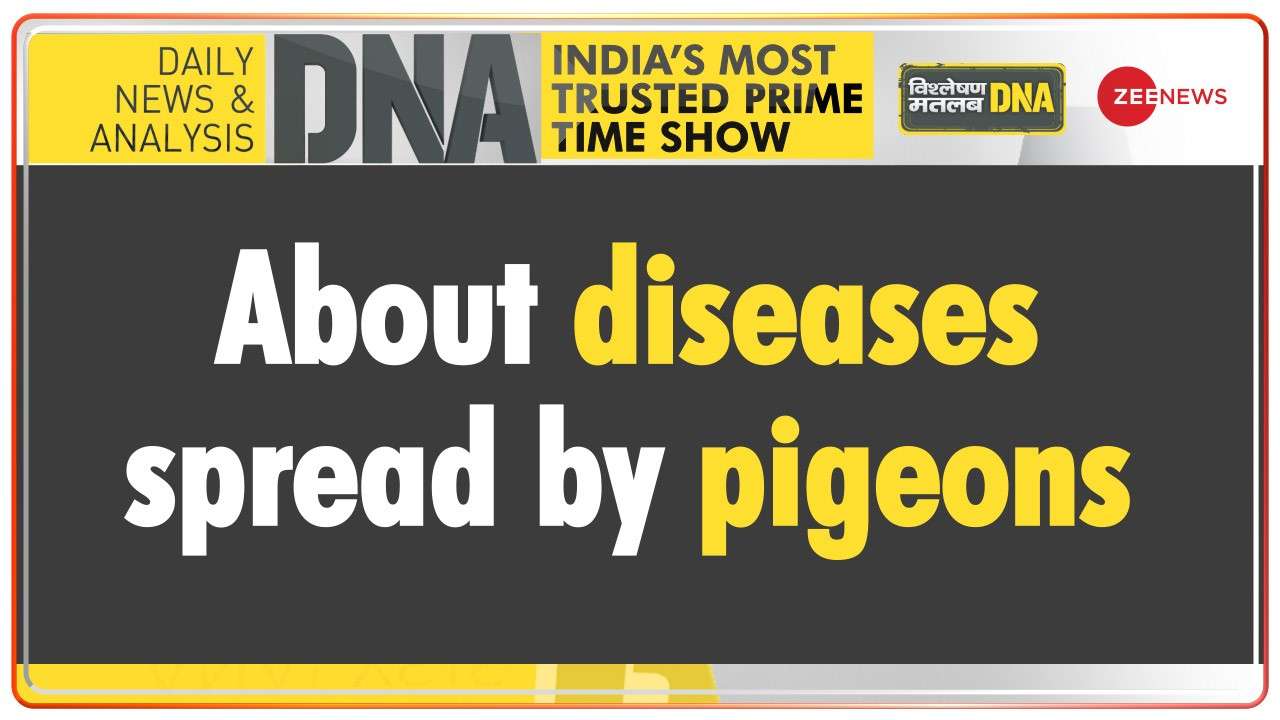 DNA | Know all about diseases spread by pigeons