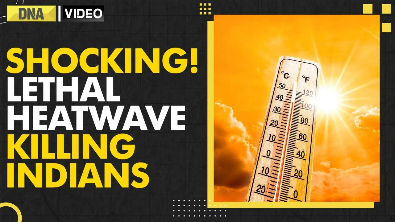 More Indians are losing lives due to heatwaves, casualties up by 55%, here what Lancet study says