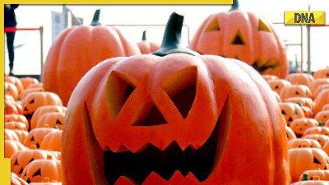 All about the spookiest holiday — Halloween!, Articles