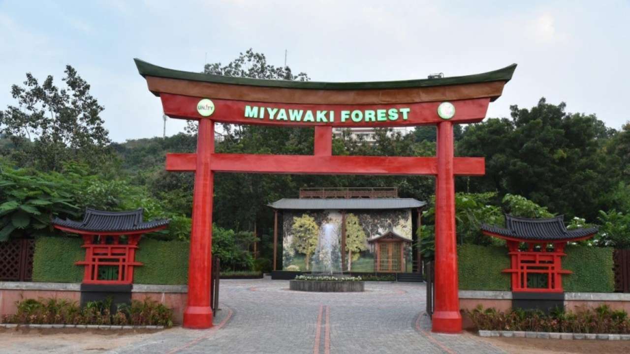 Miyawaki Forest