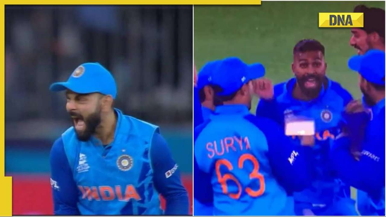 IND vs SA: Virat Kohli's pumped celebration after Rilee Rossouw's ...