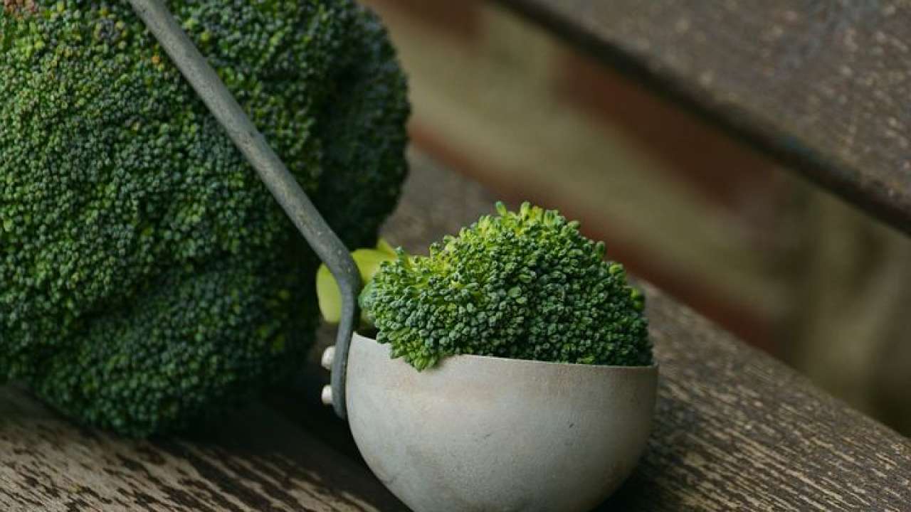 Broccoli