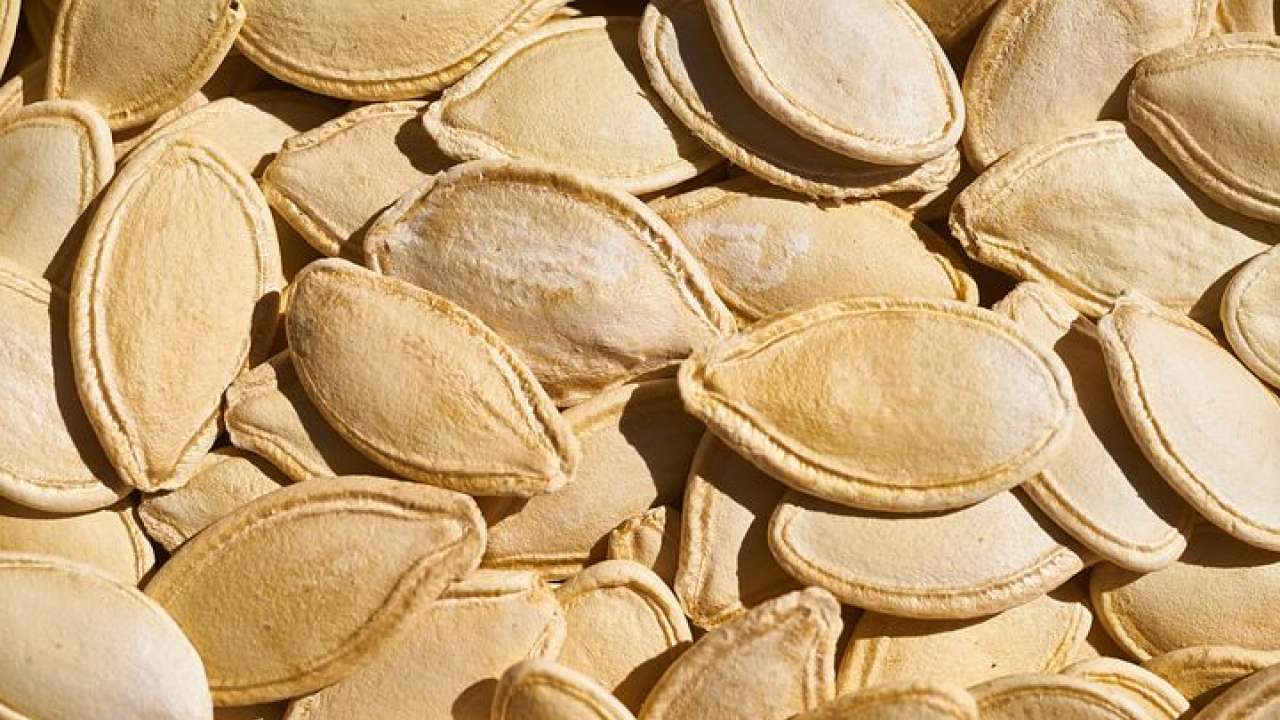 Pumpkin seeds