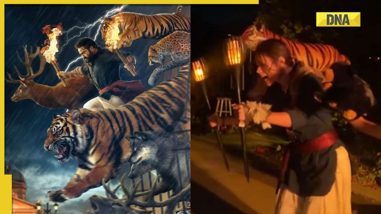 RRR: Hollywood director Ariel Vida recreates Jr NTR's interval scene using stuffed toys on Halloween