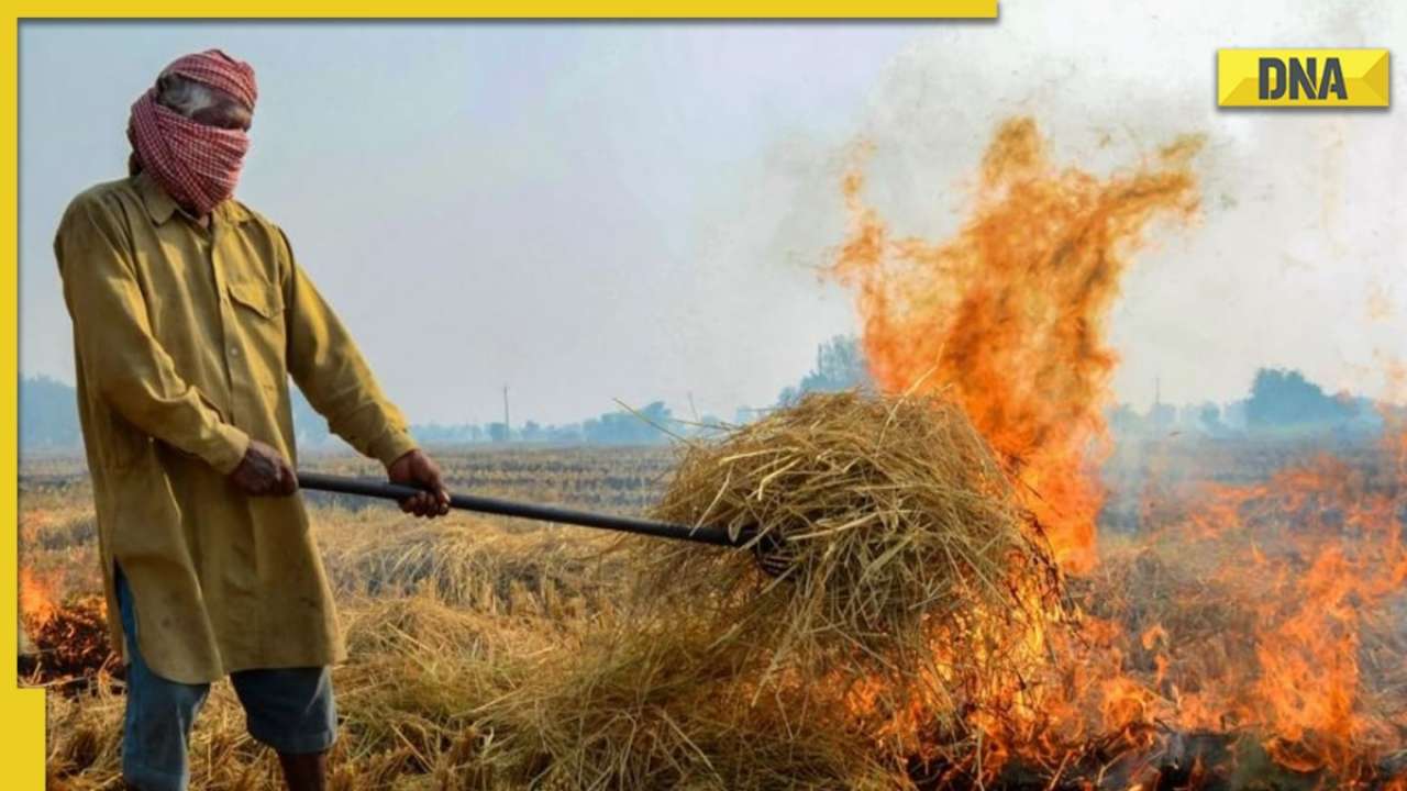 Old Jee Farm Sex - Hazardous' air chokes capital as farm fires rage in Punjab, Agri minister  says 'Amritsar's smoke can't reach Delhi'