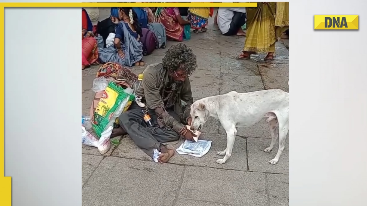 Homeless man feeds milk to dog, viral video leaves internet emotional