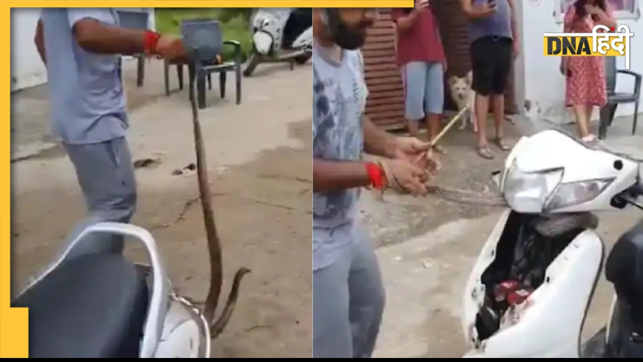 Viral Video: स्कूटर में यूं छिपकर बैठा था किंग कोबरा, निकालने में करनी पड़ी घंटों की मशक्कत