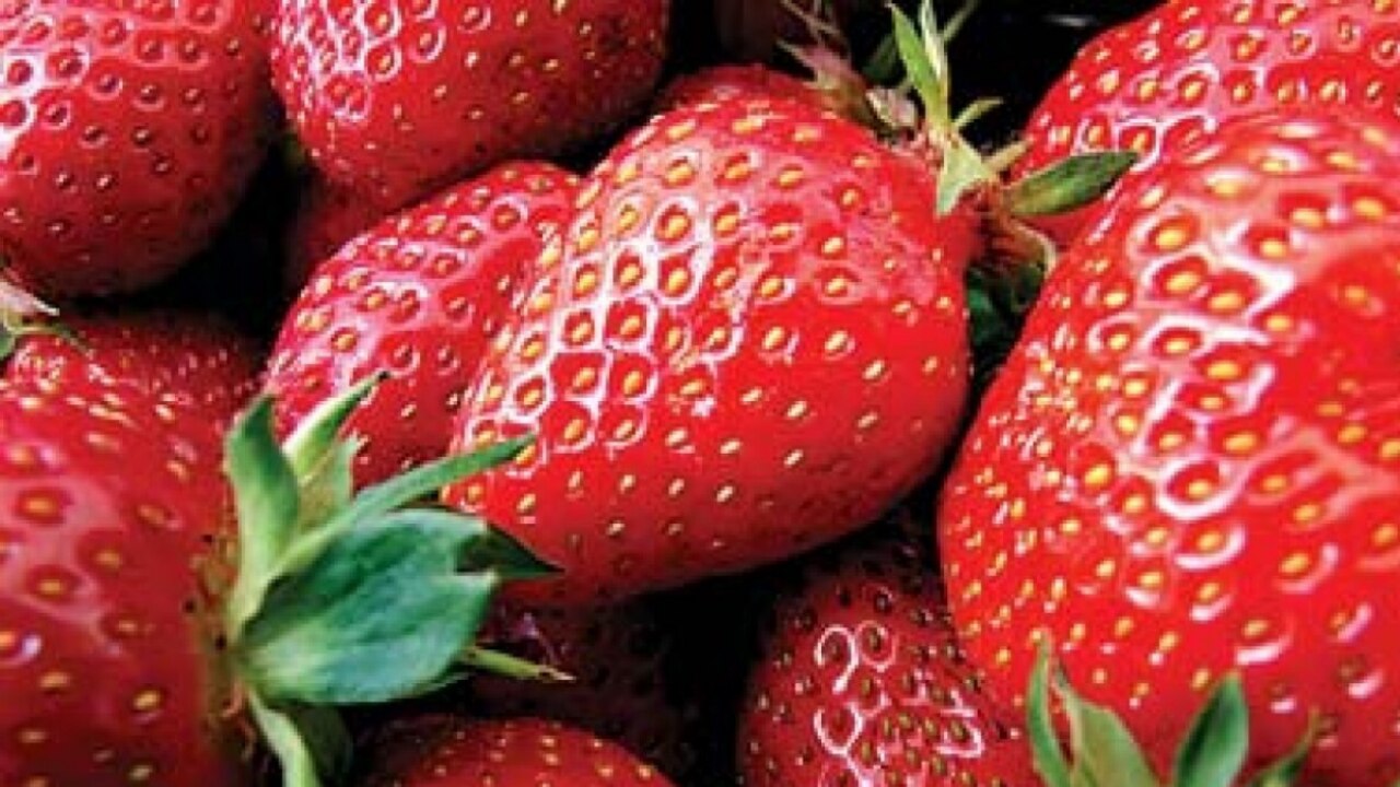 High Cholesterol Eat these fruits to keep your cholesterol low