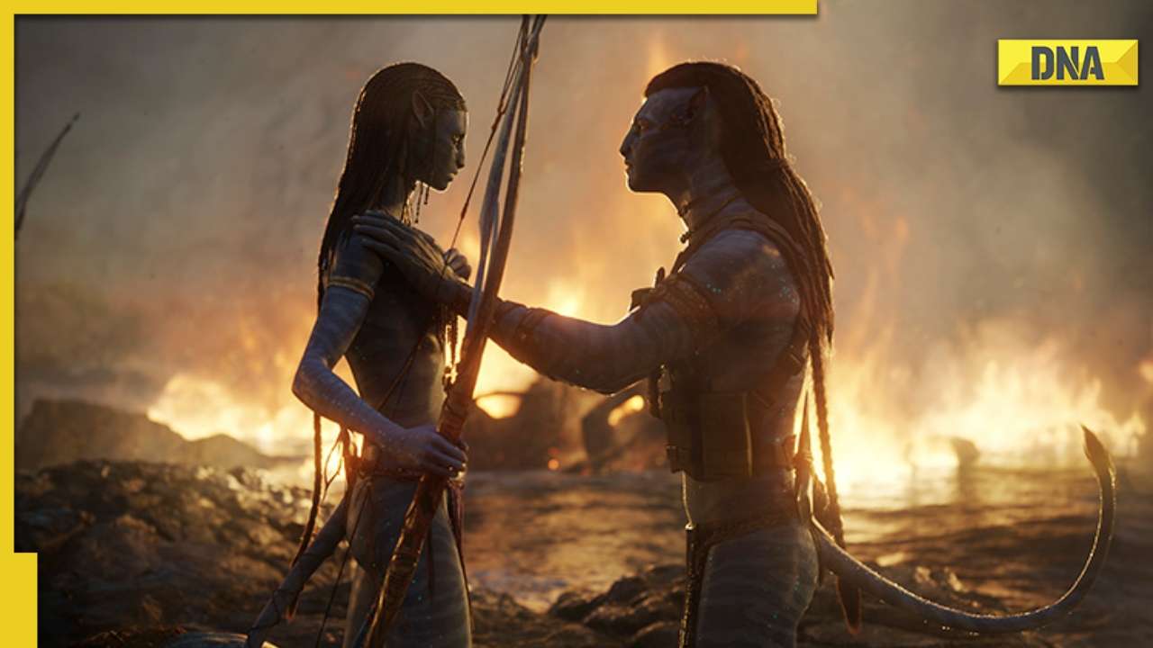 Avatar 4 and 5 may be called off if The Way of Water flops, says director James Cameron