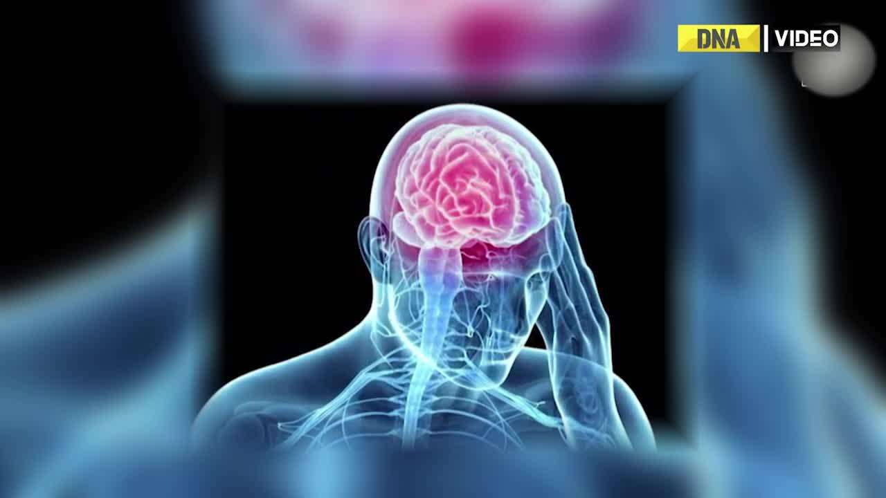To map cholesterol metabolism in brain, researchers discover new method